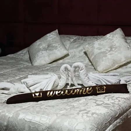 Hotel Artist *